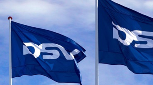Two DSV flags on staffs