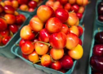 Cherry charters in decline amid Pacific Northwest heat wave
