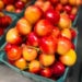 Cherry charters in decline amid Pacific Northwest heat wave