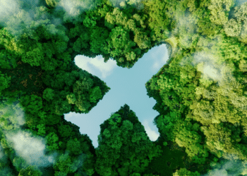 Seeing the forest for the trees: Carbon offsets and their place in airfreight logistics
