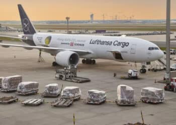 A Lufthansa Cargo plane on the tarmac surrounded by cargo